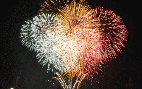 动态apicdn_最新动态