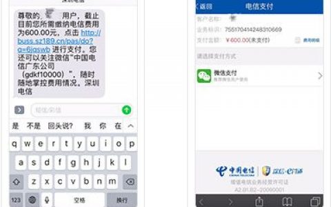 短信支付平台_支付