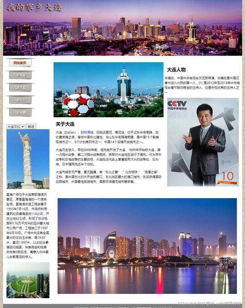 大连网站建设设计_创建设计器实例