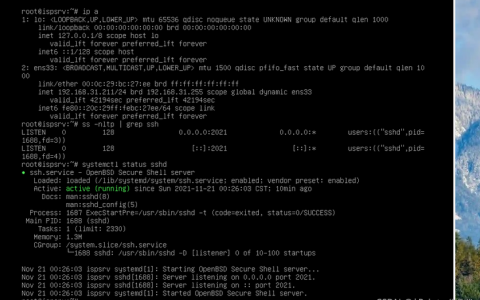 Debian web系统配置_Debian