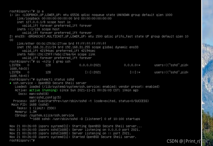 Debian web系统配置_Debian