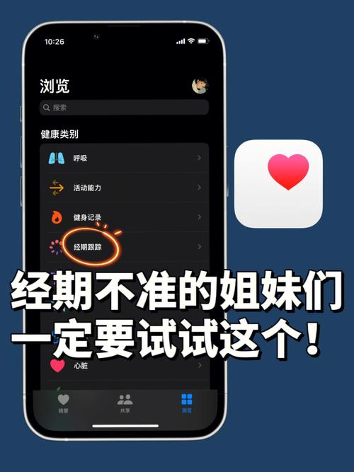 大姨吗网站_网站备份