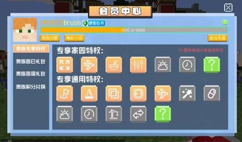 大型mc服务器 配置_MC自定义策略