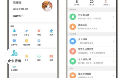 大型网站需要什么样的团队_WeLink需要重新部署平台吗，体量是什么样的
