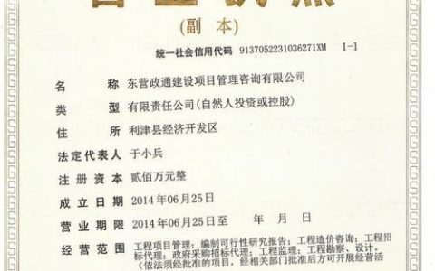 东营做网站建设的公司_分公司或子公司网站是否可以备案到总公司备案中
