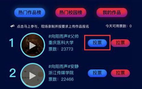 大学生网站设计作品_投票