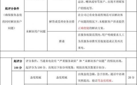 代码评分标准_管理人工质检