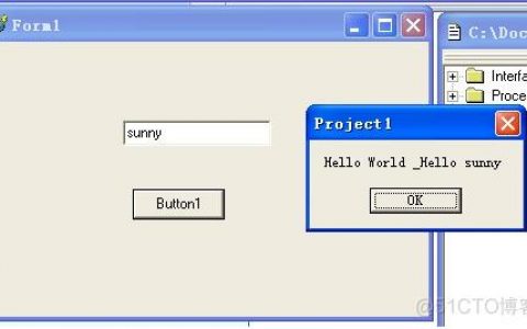 delphi 客户端 java 服务器_Java客户端接入示例