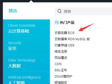 ecs服务器怎么使用_购买ECS服务器