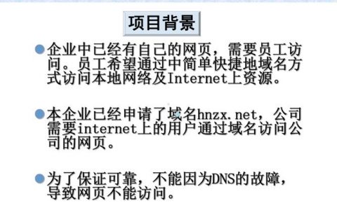 dns服务器的配置ppt_配置DNS