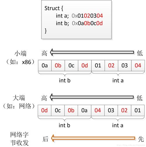 二进制以网络字节序表示_TSFIELD支持的数据类型