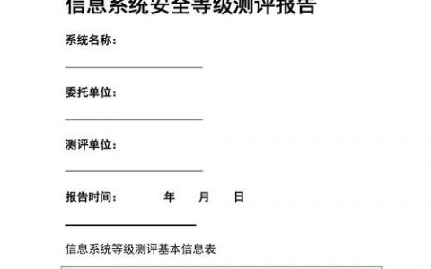 等保测评定级报告_等保问题