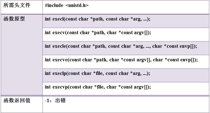 exec函数_访问特殊数据类型