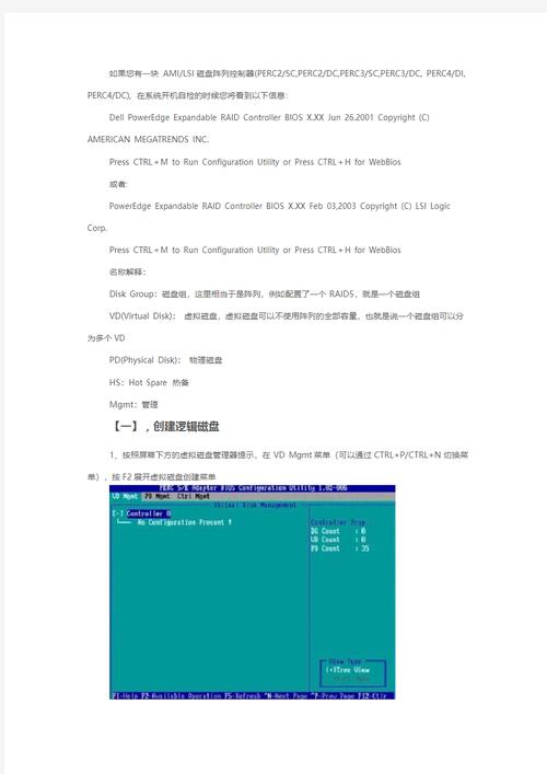 ecs novalocal_配置RAID阵列开机自启动