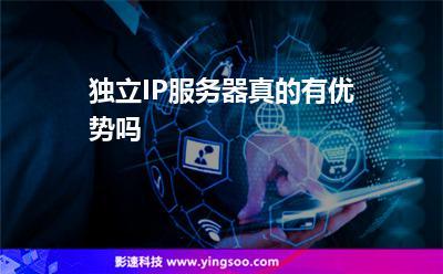 独立ip的vps_IPD独立软件类项目