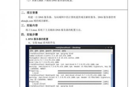 dns服务器的配置实验报告_配置DNS