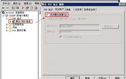 ftp设置允许别的服务器访问_快速构建FTP站点（Windows