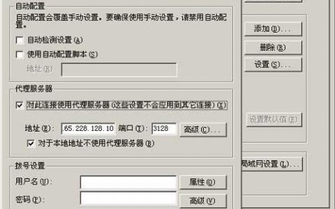 服务器如何上网_上网管理