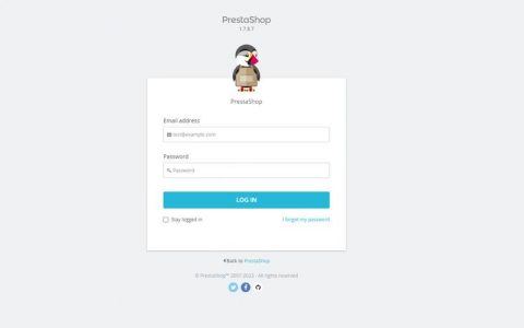 电商网站项目经验介绍ppt模板_使用Prestashop搭建电商网站