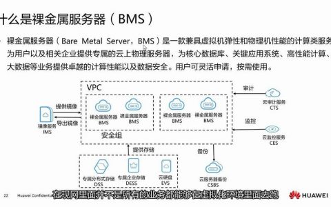 服务器存储_裸金属服务器存储指南
