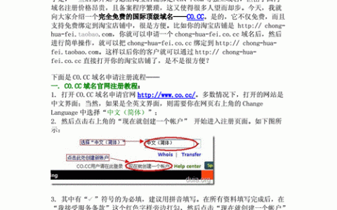 独立域名申请_独立域名申请后还需要做什么