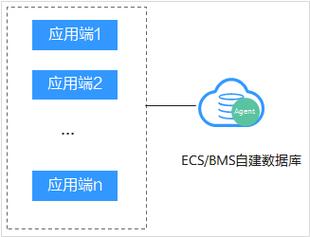 ecs agent_ECS