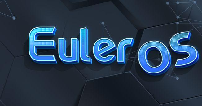 euler os linux_OS