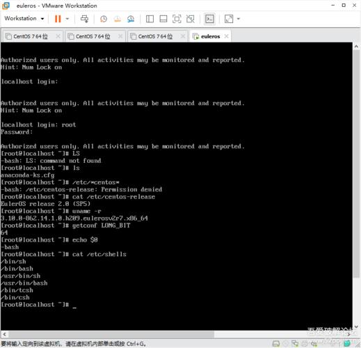 euler os linux_OS