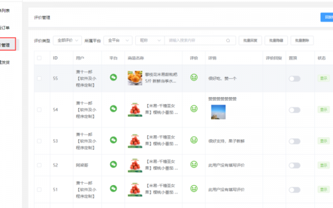 电商评论图片内容检测应用_使用APM管理电商应用
