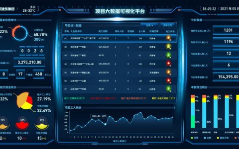 服务器开发项目_开发大屏项目