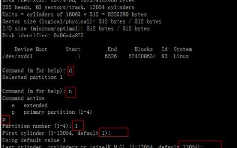 fdisk 初始化磁盘_Linux磁盘扩容后处理（fdisk