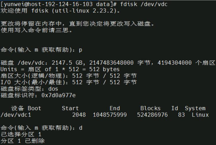 fdisk 初始化磁盘_Linux磁盘扩容后处理（fdisk