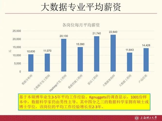 大数据上海有限公司怎么样的_BCS的性能怎么样