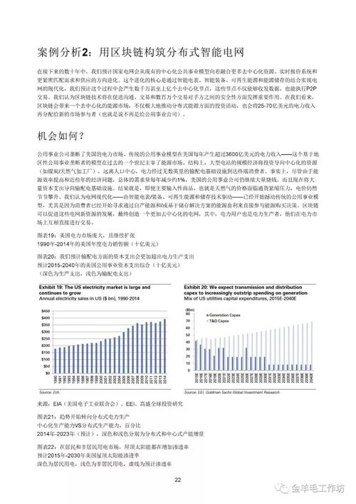 高盛区块链报告 _查询报告