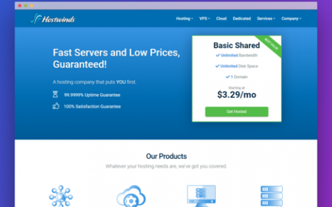 国外网站 服务器_使用咨询