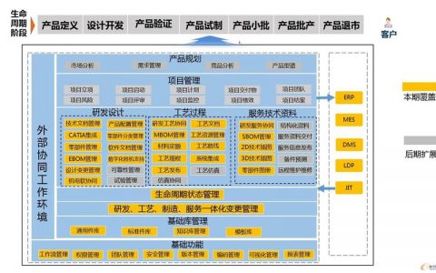 个体网站建设_个体动作检测