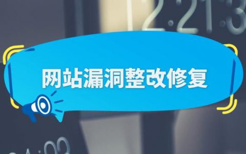 广州网站制作技术_漏洞管理服务