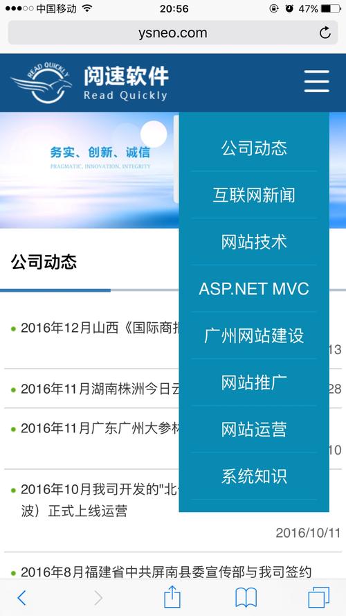 广州响应式网站咨询_咨询