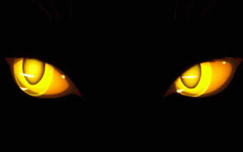 gif图片_图片处理支持哪些格式的图片？