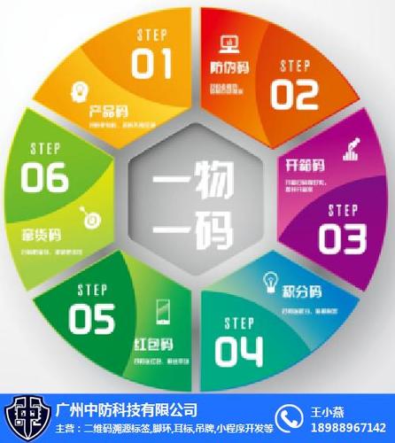 flash 网站 源码_溯源码生成