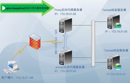 FreeBSD 搭建web服务器_搭建Keepalived Nginx高可用Web集群