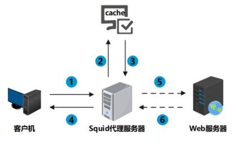 干净代理服务器_创建代理服务器