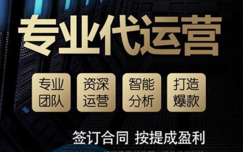 巩义企业网站托管代运营公司_网站文件托管