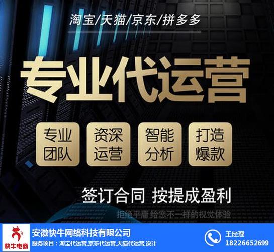 巩义企业网站托管代运营公司_网站文件托管