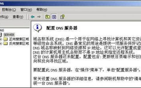 dns服务器的配置_配置DNS