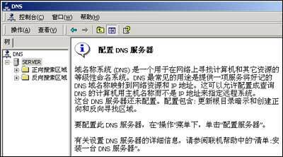 dns服务器的配置_配置DNS