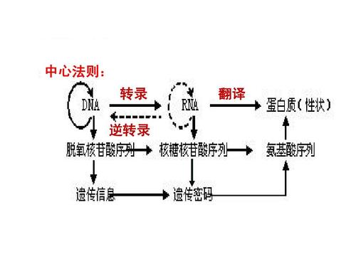 非极大值抑制_创建抑制规则