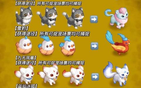 email地址大全_宠物大全