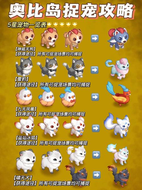 email地址大全_宠物大全