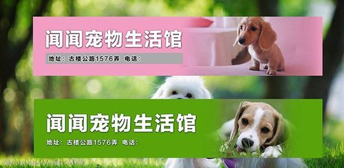 email地址大全_宠物大全